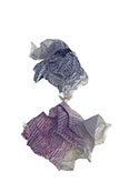 Jocelyne Thibault_maquette livre